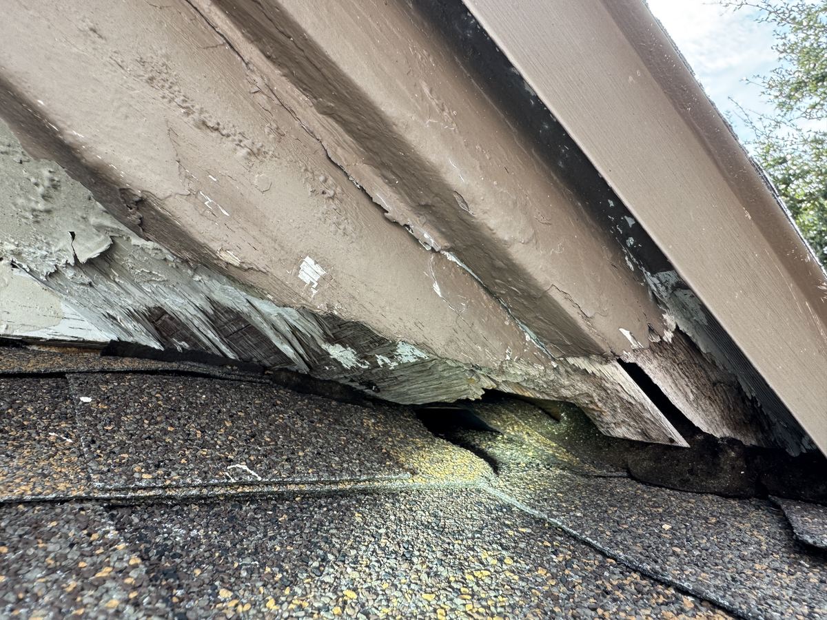 Close-up of a roof return on a shingle roof, where the weathered trim meets the shingles with a dark gnawed opening under it.